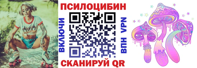 наркотики  Менделеевск  Галлюциногенные грибы прущие грибы 