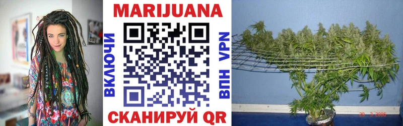 нарко площадка Telegram  купить закладку  Менделеевск  Каннабис семена  KRAKEN рабочий сайт 